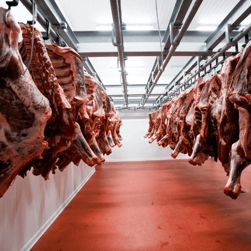 500×500-1 Réfrigération de carcasse au Luxembourg