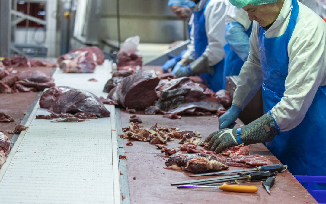 Piécage à Dudelange : un travail précis mené dans des conditions optimales