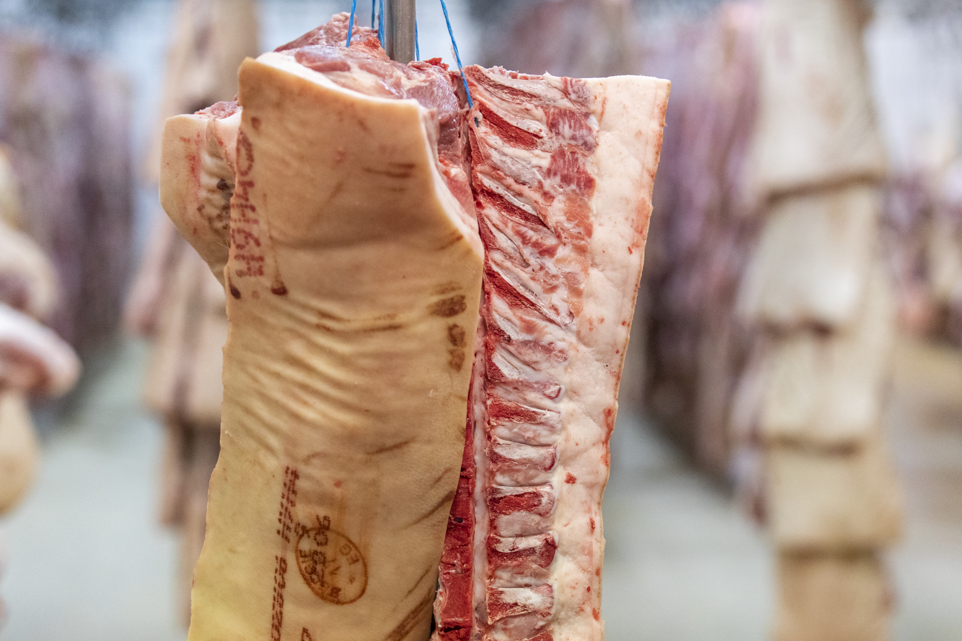 PRESTA MEAT_-BELGIQUE_10-03_2022_1920P_MARC-VIDAL-139 PRESTA MEAT_-BELGIQUE_10-03_2022_1920P_MARC-VIDAL-139