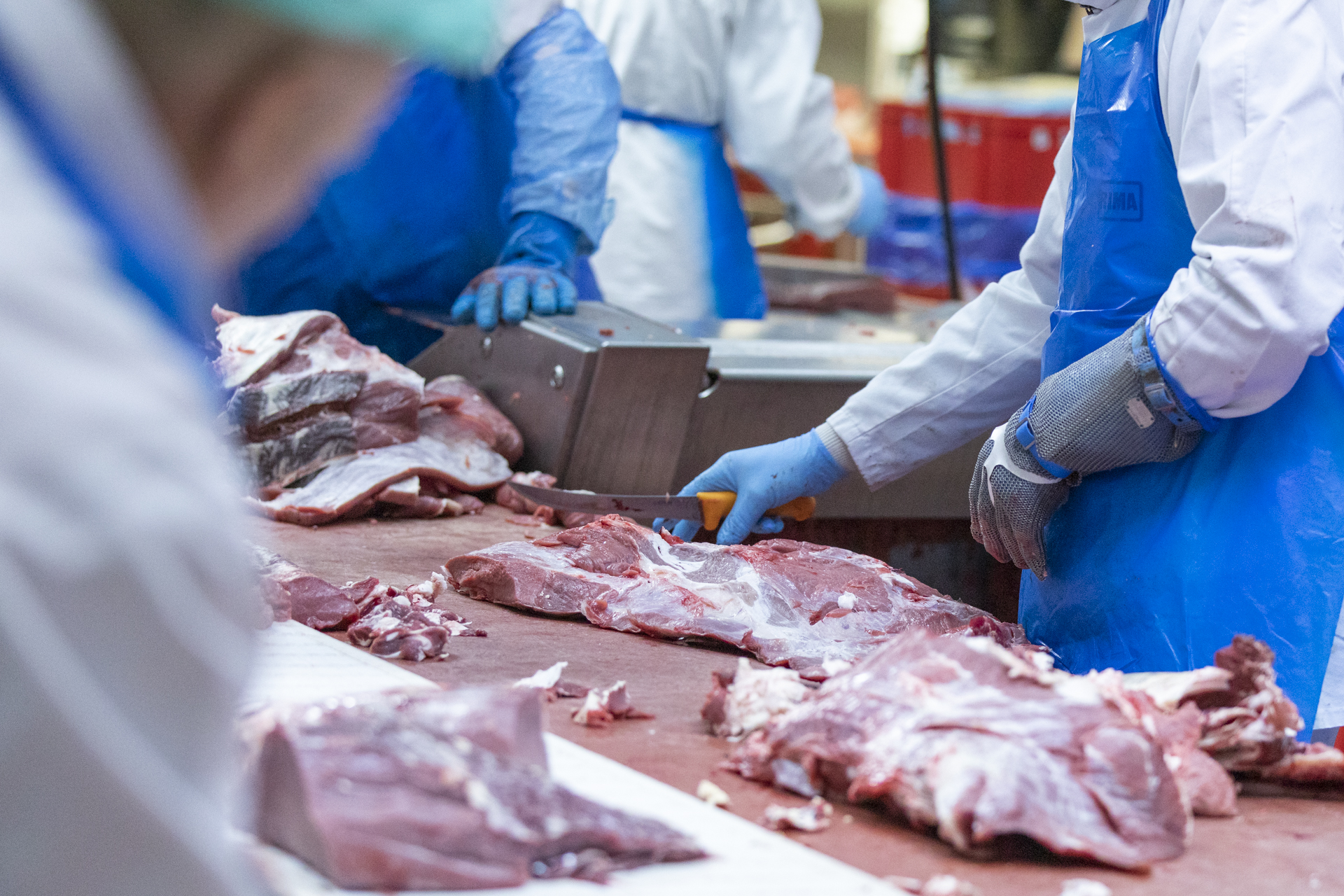 Manutention en boucherie à Bettembourg : des ouvriers polyvalents