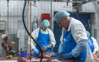 Manutention de boucherie au Luxembourg : des tâches rigoureuses effectuées par des professionnels
